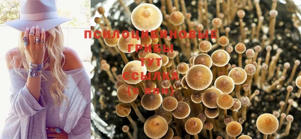 крисы Алексеевка