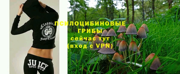 крисы Алексеевка
