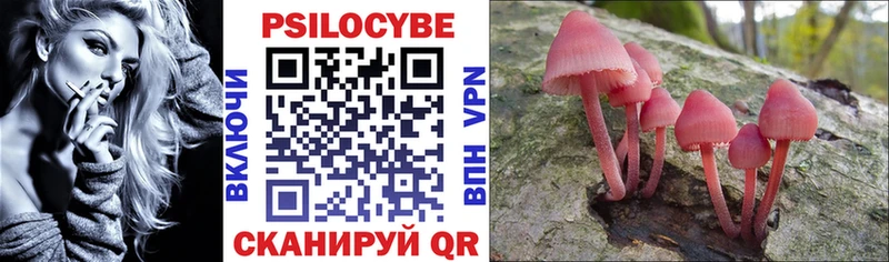Псилоцибиновые грибы Psilocybine cubensis  Кукмор 